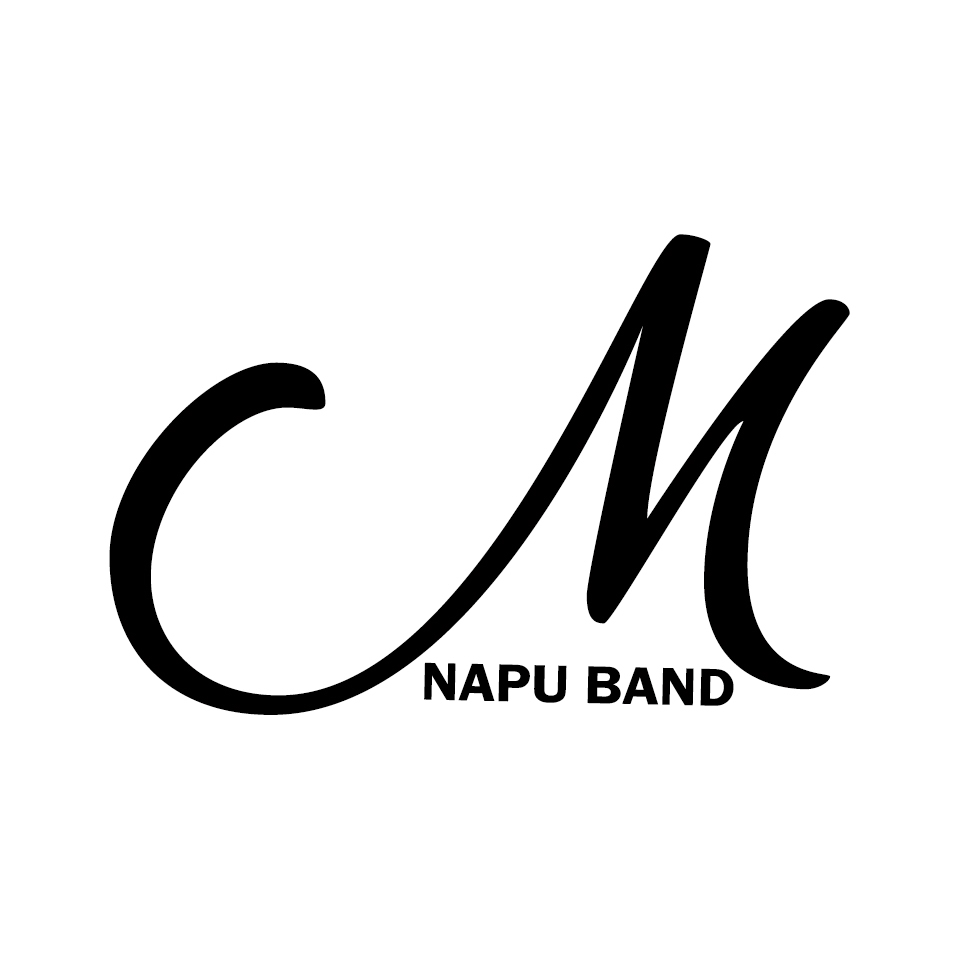 Trupa Cover Mihai Napu Band